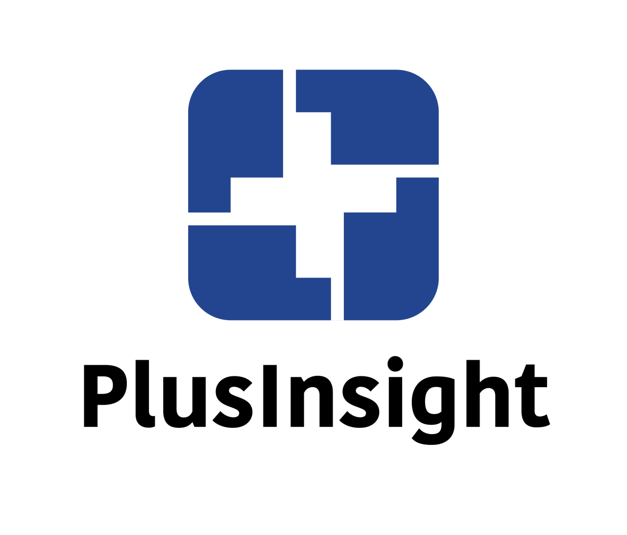 ロゴ：Plus Insight株式会社