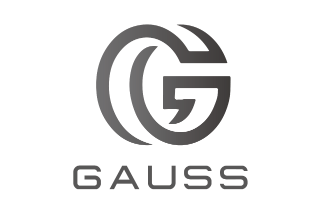 ロゴ：株式会社 GAUSS